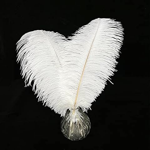 Happy Feather 10 pcs Ostrich Feathers Centerpiece 14-16 inch for Wedding Home Party Decoration, DIY Craft-White Cover