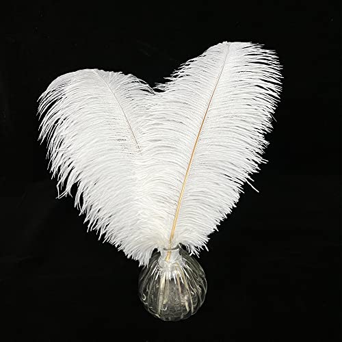 Happy Feather 16-18 Inch White Ostrich Feathers Craft For Wedding Party Centerpieces Home Decoration Diy Craft Pack Of 10 #TOP1