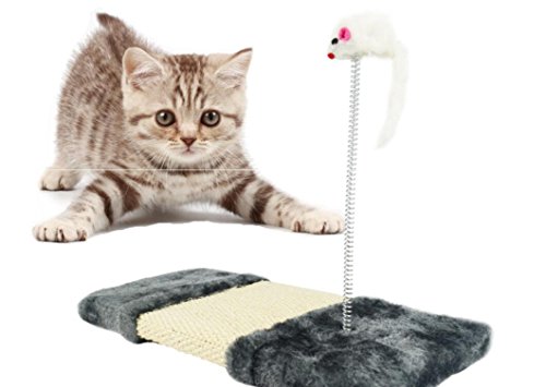 |[^uSteB[Nbv{[}[J[nbgNbvz_[XqɌŒ肳ꂽuSt{[LbvX|[c{[CY|[^uNbvpNv