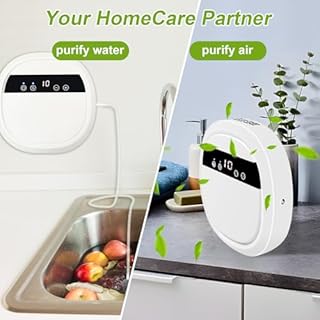 Generatore di Ozono per acqua e aria, Purificatore d'aria a ioni negativi Ozonizzatore, Purificatore ozono pulisci frutta verdura e carne, rimuovi l'odore per casa e auto con 12V adattatore - 600 mg/h