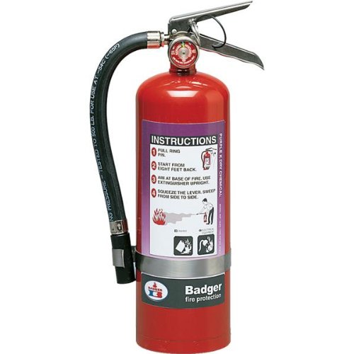 Badger Extra 2.5 lb Purple K Extinguisher w/Wall Hook - / (1 Unit)