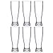 Amazing Abby - Genny - 22-Ounce Plastic Beer Glasses (Set of 6), Plastic Pilsner Glasses, Reusable Cups, BPA-Free, Shatter-Proof, Dishwasher-Safe, Perfect for Poolside, Outdoors, Camping, and More