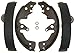 Raybestos 949PG Professional Grade Drum Brake Shoe Set