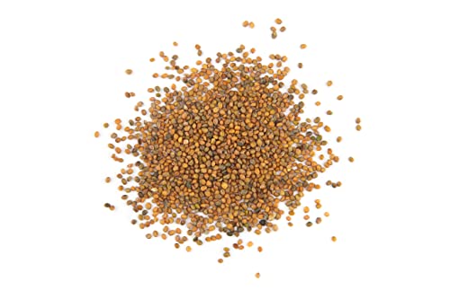 500 Roquette Arugula Seeds For Planting - Heirloom Non-Gmo Lettuce Seeds For Planting Indoor Or Outdoor Home Garden - Rocket, Rugula, Rucola - Eruca Vesicaria Subsp. Sativa By Rdr Seeds #TOP4