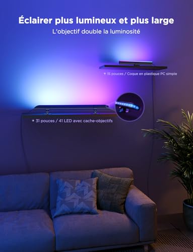 Optimisation Govee Flow Plus