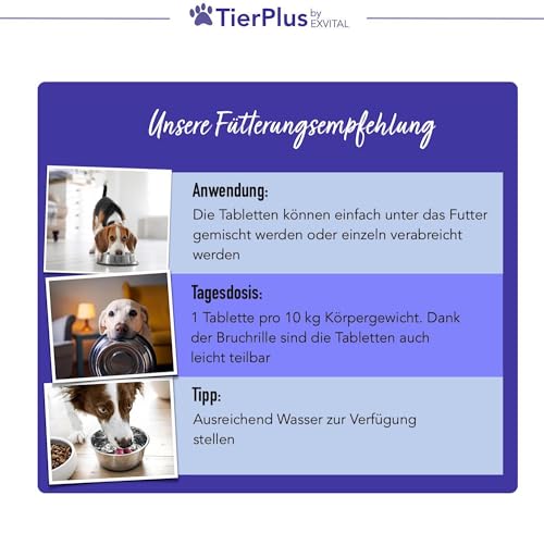Beruhigungsmittel für Hunde – EXVital TierPlus Ruhezeit Tabletten