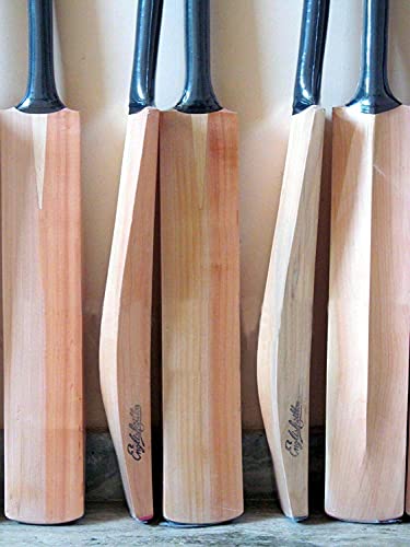 AnNafi® Plain Kashmiri Willow Cricket Bat Free MRF Genius Emboss Sticker | Premium Quality | Regular Size Short Handle | Full Size Cover, Pre- Fitted Toe Guard, Anti Scuff Sheet & Fiber Tape