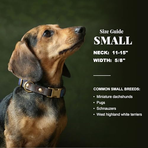 Image of Didog PU Leather Dog Collar for Small Dogs Puppy, Soft Lining, Blue S