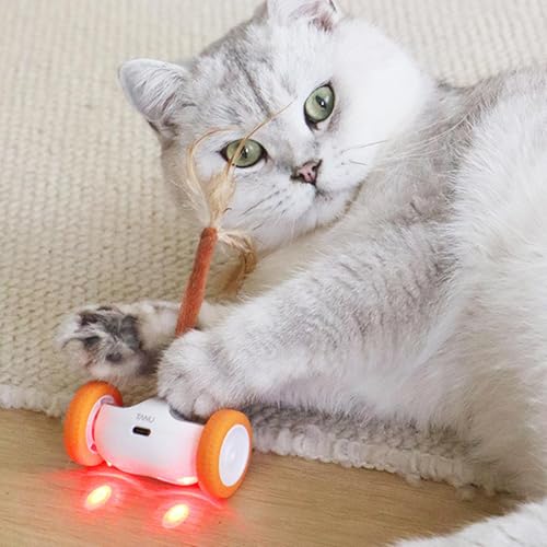 Jouet électrique pour chat intérieur exercice enrichment et stimulation