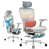 Ergonomic Home Office Desk Chair with Massage Lumbar Support，4D Headrest & 5D Armrests, Reclining Big and Tall 400LBS Mesh Chair with Footrest，Adjustable Back High and Seat Depth(Gray Rainbow)