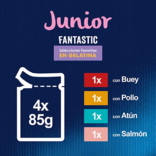 Felix Fantastic Nassfutter für Junior-Katzen, Gelee, Sortiment aus Ochse, Lachs, Huhn und Thunfisch, 12 Packungen mit 4 Beuteln à 85 g (48 Umschläge)