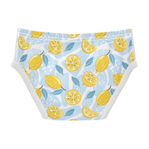 Boys' Exclusive Briefs Toddler Underwear 95% Combed Cotton Boxerbriefs 2T Lemon and Leaf Pattern 372