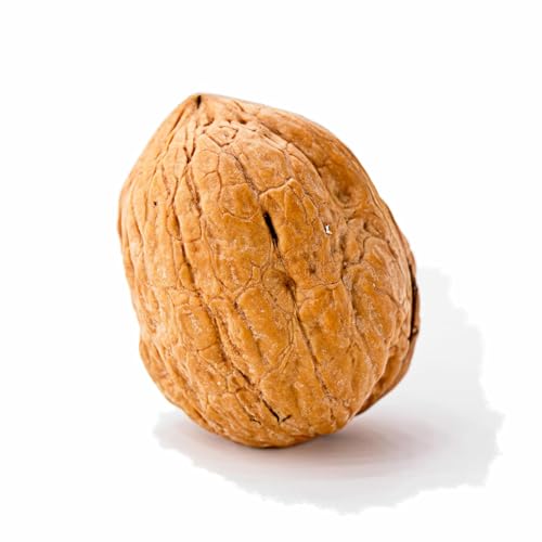Image of Crazy Nuts | California Grown Whole Walnuts In Shell, 25lb | Raw Walnuts Whole Bulk, Nuts in Shells for Squirrels
