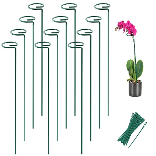 12 Pack 16 Inch Metal Plant Support Stakes for Outdoor Plants and Flowers