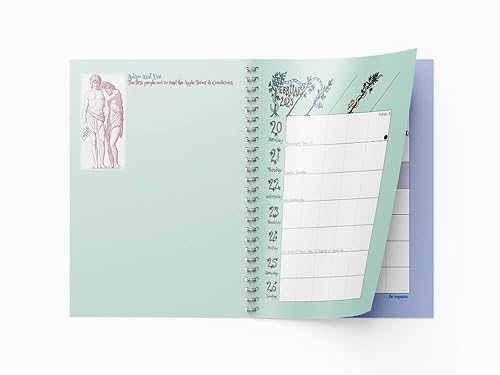 Dodo Pad Academic 2022-2023 Mid Year Desk Diary, Academic Year, Week to View: A mid-year diary-doodle-memo-message-engagement-calendar-organiser-planner book for students, parents, teachers &amp; scholars
