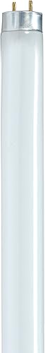 Satco S8406 - Lámpara de ahorro de energía de arranque instantáneo/rápido de 24 pulgadas, 4100 K, 17 W, tamaño mediano, T8, color blanco frío