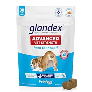 Glandex Anal Gland Soft Chew Treats with Pumpkin for Dogs Digestive Enzymes, Probiotics Fiber Supplement for Dogs Boot The Scoot (Advanced Strength Duck/Bacon Chews (Vegetarian), 30ct)