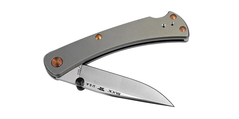 Amazon.co.jp: バックナイフ BUCK 110 (110GYSLE1 チタンスリム プロ