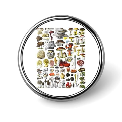 sobW Be[W  ̂̎ u[` ys ~^ tH[}  ANZT[ Ǝ   w a LO ȒPt lC  킢 v[g 蕨 Mtg