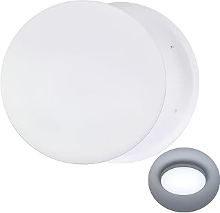 12-INCH LED Surface Ceiling Light
