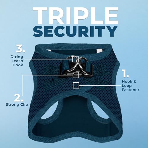 Image of Voyager Step-in Air All Weather Mesh Harness and Reflective Dog 5 ft Leash Combo with Neoprene Handle, for Small, Medium and Large Breed Puppies by Best Pet Supplies - Blue (Matching Trim), XXXS