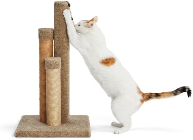 EveryYay by Petco Essentials Scratchin' The Surface 3-Sided Post with Scratcher Cat Toy, 26.5" H