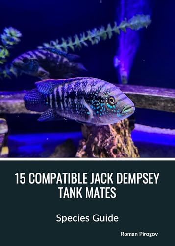 15 Compatible Jack Dempsey Tank Mates: Species Guide