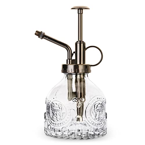 Sfit Glas Gießkanne Klein Vintage 200ml Sprühflasche Dekorative Retro Blumengießkanne mit Pumpe Garten Zimmerpflanzen Innen- und Außenbereich(Transparent) Cover