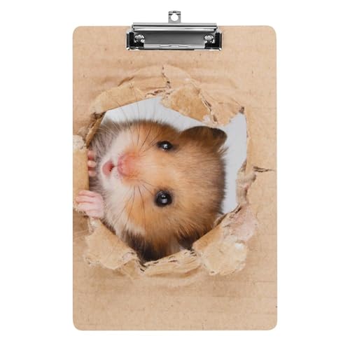 Nbv{[h A4 c^ nX^[ t@C{[h Ǌ|  ₷ v{[h Ď^т₷  [ cpbh pi  wZ ƒpoC_[