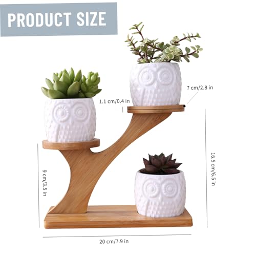 Support de plante de bureau anti-taches pour petits pots fleurs de table