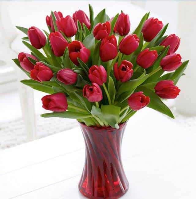 Sponsored Ad - Artificial Tulip Flowers Bunches for Vase Home Decoration Items for Living Room Corner Table Top Bedroom Wedding Party Decorative Gift Set (RED)