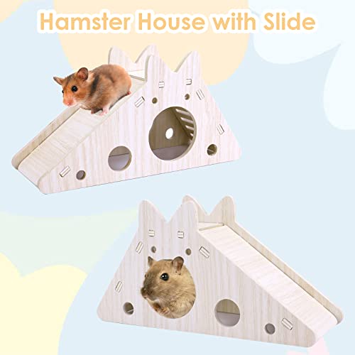 Molain Hamster House con scaletta e Scivolo