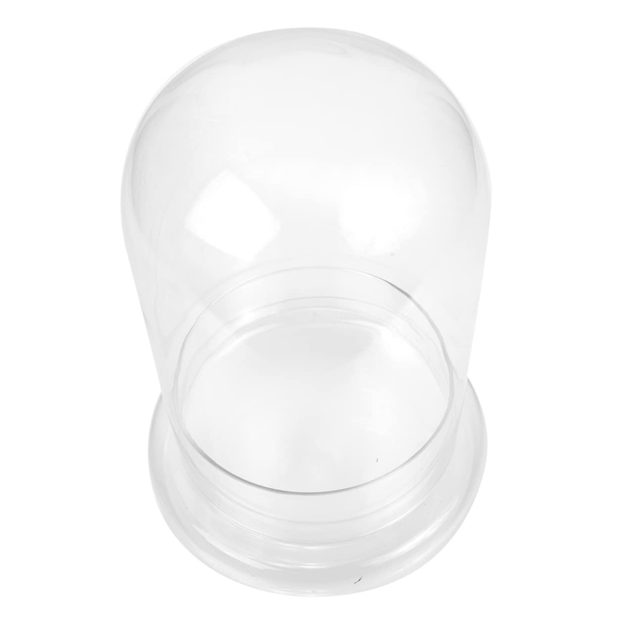 BESTonZON Vaso Terrario Bottiglia in Vetro Ecologica Per Micro Paesaggi Coltivazione Di Piante Di Muschio Contenitore Decorativo Per Paesaggi Fai Da Te