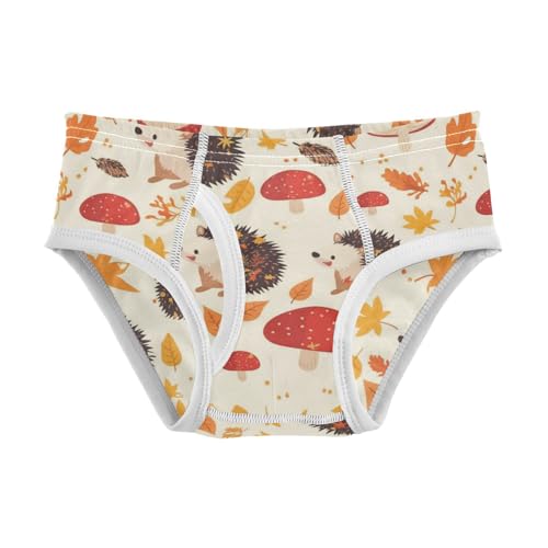 Wusikd Hedgehogs Mushroom Boys' Underwear Cotton Autumn Leaves Boys Briefs Soft Toddler Underwear 2T - Main Image
