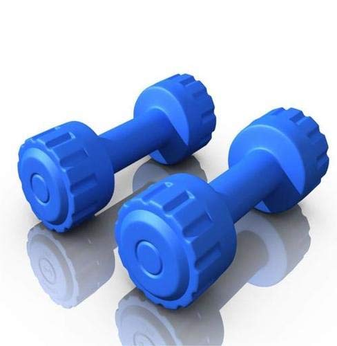 BODYFIT PVC Dumbbells, Dumbbells Set, Home Gym Exercise, Home Gym Equipment, Blue PVC Coated Dumbbells, Fitness and Weights for Women and Men (Set of 2) (4KG Pair) (B08X3HBT2T) Amazon Price History, Amazon Price Tracker