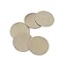 2" Robert Sorby #412A120 Sandmaster 120 Grit Sanding Disc 10 pack