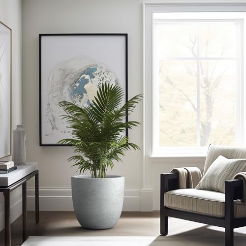 Image of Kante Large Round Bowl Pale Gray Concrete Planter 18 inch Dia, Outdoor