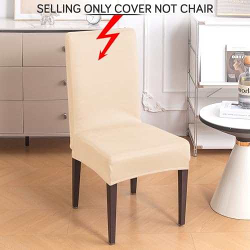 Image of HOKIPO 'SereneSolids' 140 GSM Stretchable Dining Chair Cover - Set of 1, Beige (AR-6246-BGE)