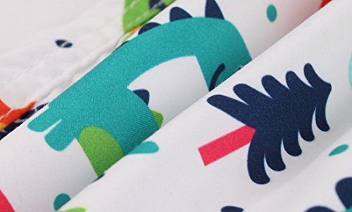 Milankerr Big Boys' Swim Trunks Size 6-20 (M / 10-12, Dinosaur) #TOP6