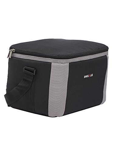 Image of BagsRUs Black Polyester 11 Liter 12 500ml Cans Portable Travel Chiller Cooler Bag with 2 Free ice Packs (CH104FBL)