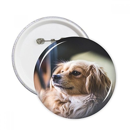 Badge Chien Photo Ronde Pins Bouton pour Vêtements DIYthinker Taille L