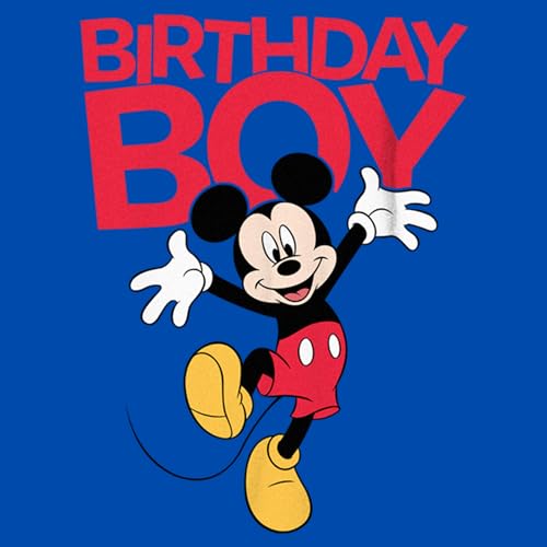 Boy's Mickey & Friends Happy Birthday Boy T-Shirt2