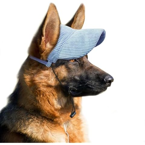 Casquette BASVII pour Chiens Cover