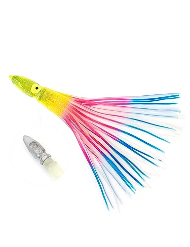 BLUEWING EFCgg[O CJXJ[g ނ C wbht 12C` _uXJ[g ^RA[ 10IX