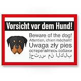 Komma Security Vorsicht vor dem Hund - Rottweiler Hunde Schild Hinweisschild mehrsprachig - Türschild Haustüre Warnschild Abschreckung Einbruchschutz - Achtung Hund