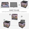 RLDOBOFE Sturdy Los Angeles Skyline Storage Cubes,Portable Bins with Double Handles,Folding Storage Bins for Organizing Books,Shelves, Closet,Craft Supplies 10.6 X 10.6 X 10.6 In #3