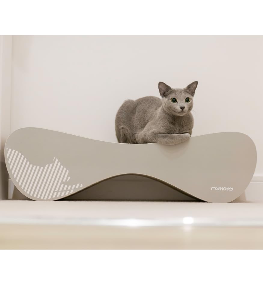 Grand griffoir Chats Carton 75 x 24 x 21 cm Vigo Mykotty griffoir en Carton pour Chat griffoir pour Chat Design Couleur au Choix