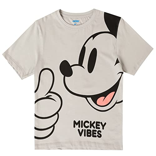 Image of Kidsville Boy's Cartoon Regular Fit STY-22-23-MICFRI