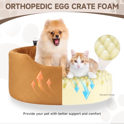Hunde Autositz, Haustier Auto Erhöhter mit Sicherheitsgurt für Kleine oder Mittlere Hunde, für Hundesitz Auto Rückbank mit Abnehmbar Waschbar Hundekissen
