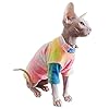 Bonaweite Hairless Cats Rainbow Rendering T-S...
